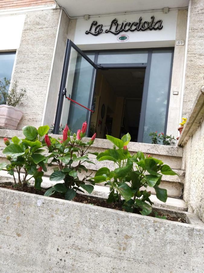 Hotel La Lucciola Chianciano Terme Extérieur photo